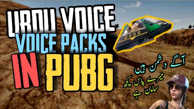 Urdu Voice-Pack Of PUBG Is Released