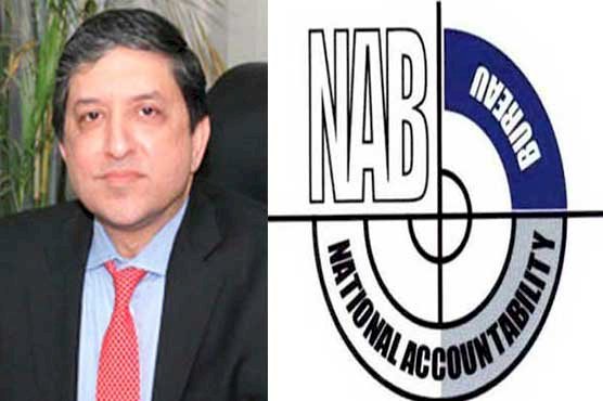 Saleem Mandviwalla Said Pakistan Senate Will Expose NAB