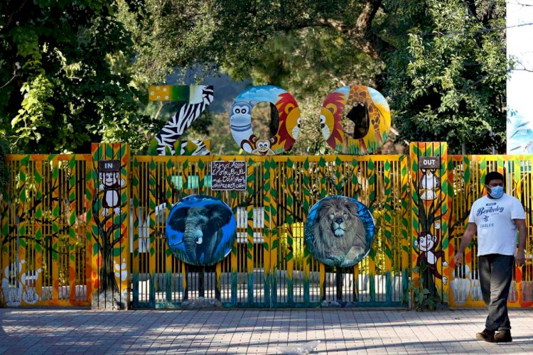 World's Worst Zoo In Islamabad Finally Shuts Down