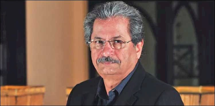 Universities Can Only Decide About Online Exam: Shafqat Mahmood
