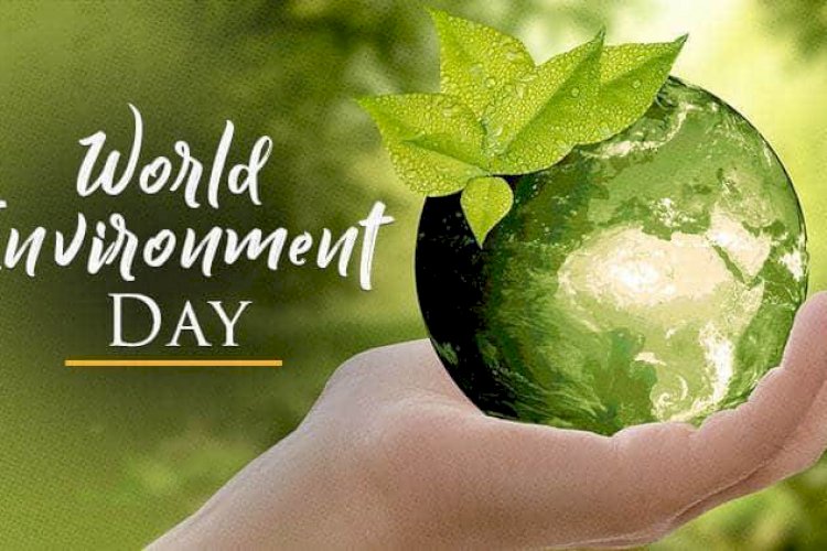 Pakistan To Host World Environment Day 2021