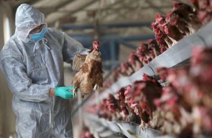 Russia Detects World’s First H5N8 Bird Flu Case In Humans