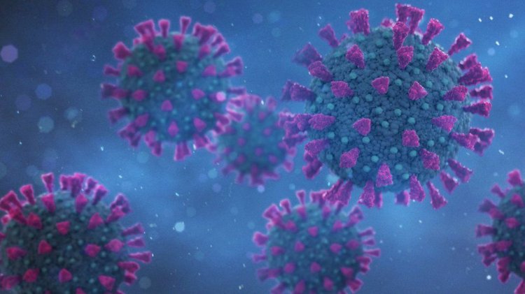 Four Cases Of Indian Coronavirus Variant Reported In Sindh: Qasim Soomro
