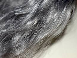 Psychological Stress Causes Hair To Turn Grey: Study