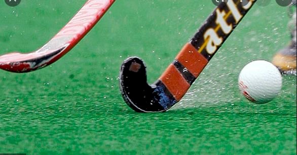 Hockey: A National Sport or National Chaos?